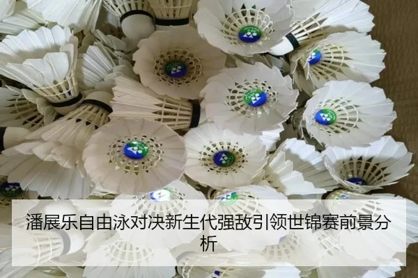 潘展乐自由泳对决新生代强敌引领世锦赛前景分析