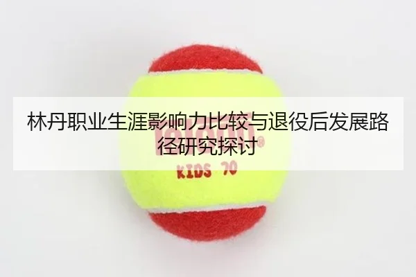 林丹职业生涯影响力比较与退役后发展路径研究探讨