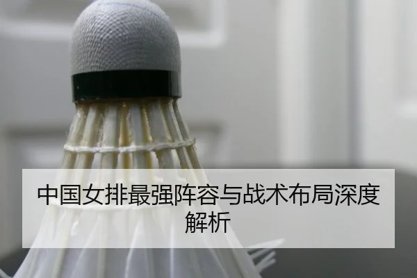 中国女排最强阵容与战术布局深度解析